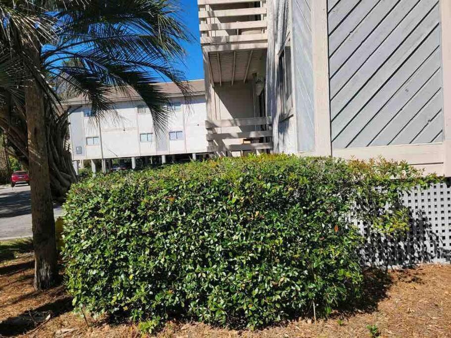 2022 Renovated 2-Bdrm Cozy, Lovely Condo W/Parking! Hilton Head Island Exteriér fotografie